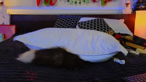 Eva online show from December 2024 04:25:01 AM