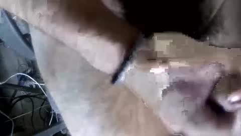 eveline_figeroa3 online show from June 2026 01:21:01 AM