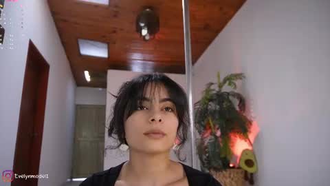 evelyn evelyn online show from June 2026 04:16:02 PM