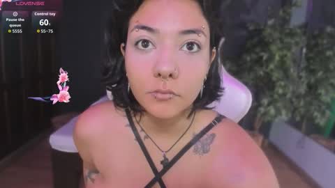 Snapshot of evelynaradia chatting on January 2026 12:19:01 PM Evelyn online show from January 2026 12:19:01 PM