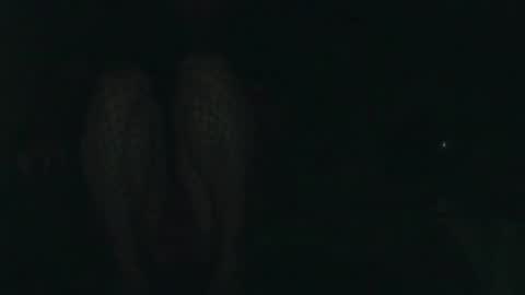 evermore8807 online show from December 2025 04:07:02 AM