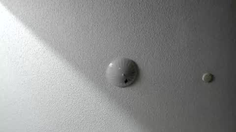 Snapshot of evparrish chatting on January 2025 06:42:02 AM EV Parrish online show from January 2025 06:42:02 AM