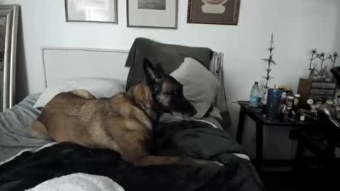 Snapshot of evparrish chatting on February 2025 04:48:02 AM EV Parrish online show from February 2025 04:48:02 AM