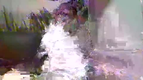 Snapshot of ewaldwillems99 chatting on February 2026 03:49:02 PM Naaktloper online show from February 2026 03:49:02 PM