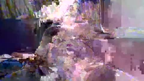 Snapshot of ewaldwillems99 chatting on February 2026 04:22:02 PM Naaktloper online show from February 2026 04:22:02 PM