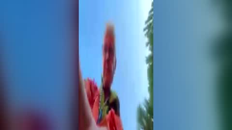 exhibapoil online show from July 2026 06:30:02 AM