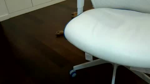 exhibapoil online show from July 2026 06:27:02 AM