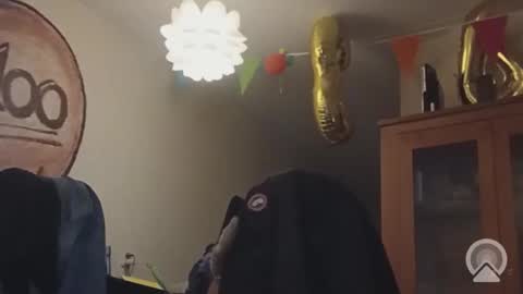 sissyoldernl online show from March 2026 05:13:02 AM