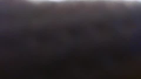 Exoticlexxii online show from October 2025 07:45:02 PM