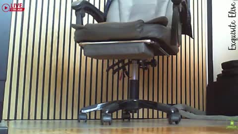 Snapshot of exquisite_elise chatting on May 2026 01:39:01 PM Elise online show from May 2026 01:39:01 PM