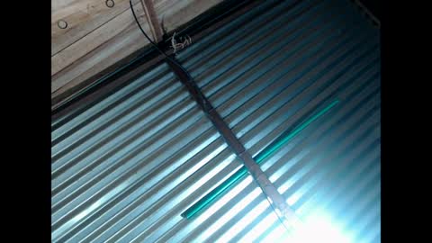 exxclusivo online show from March 2026 06:14:01 AM