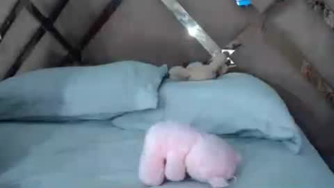 eyshaexotii online show from June 2026 04:24:02 AM