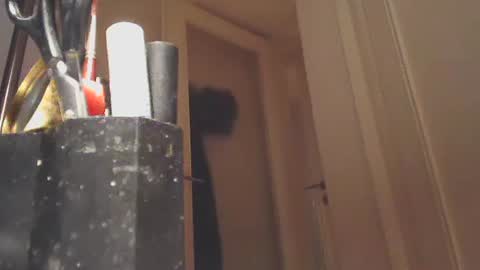 Snapshot of ezcoda chatting on January 2025 10:57:01 PM EZCODA online show from January 2025 10:57:01 PM