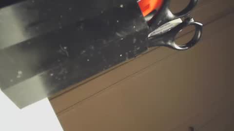 Snapshot of ezcoda chatting on January 2025 08:33:01 PM EZCODA online show from January 2025 08:33:01 PM