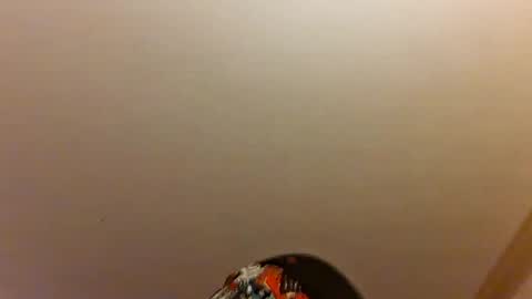 Ez Rider online show from July 2026 07:48:01 AM