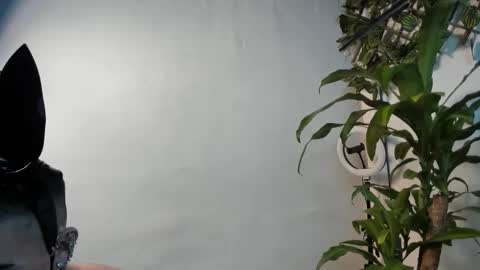  Stiven Baby   online show from February 2026 07:51:01 AM