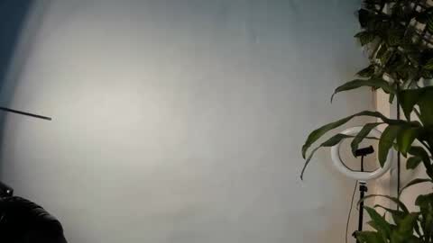  Stiven Baby   online show from February 2026 06:43:02 AM