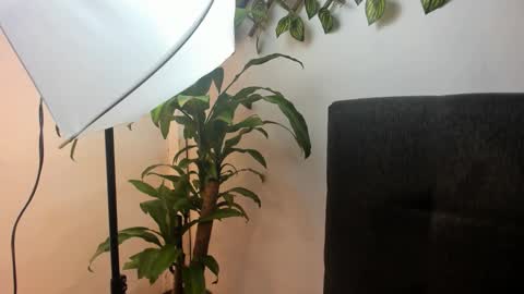  Stiven Baby   online show from February 2026 05:28:02 AM