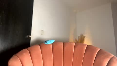 Snapshot of fabianna_laraa chatting on November 2025 12:13:01 PM Thianna online show from November 2025 12:13:01 PM