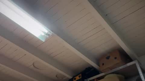 Snapshot of fabius1995 chatting on March 2026 07:50:01 PM fabius1995 online show from March 2026 07:50:01 PM