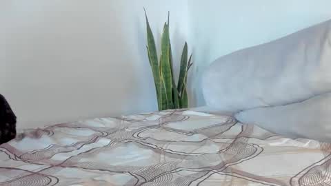 Snapshot of fabrizio_amery chatting on January 2026 02:00:02 PM - A N D E R online show from January 2026 02:00:02 PM