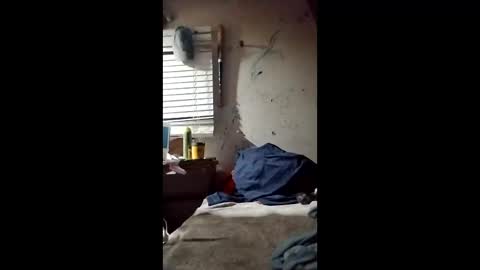 fahque6975 online show from March 2026 09:01:01 AM