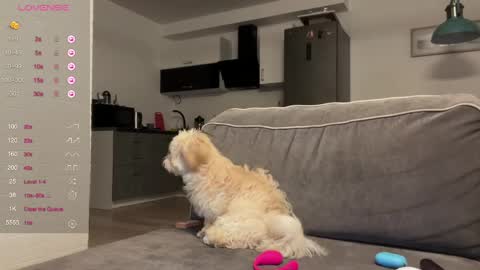 Bloom  online show from April 2026 06:53:02 PM