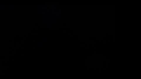 FallGays online show from December 2024 04:32:01 AM