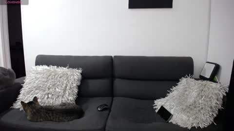 FallGays online show from February 2025 12:16:01 AM