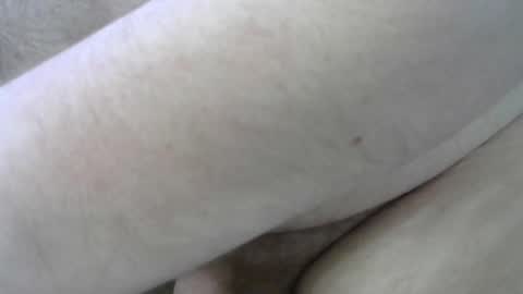 Snapshot of falso_aleatorio chatting on January 2025 03:24:01 PM Fake Random online show from January 2025 03:24:01 PM