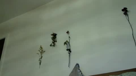 fantasycreampuff666 online show from July 2026 09:09:01 AM