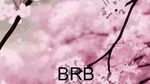 Anna Scovich online show from October 2025 01:43:02 PM