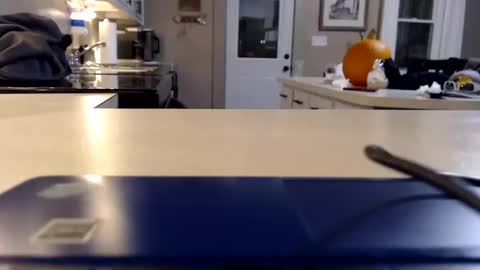 Snapshot of farmgirl__ chatting on October 2025 02:22:02 AM FarmGirl and Daddy online show from October 2025 02:22:02 AM