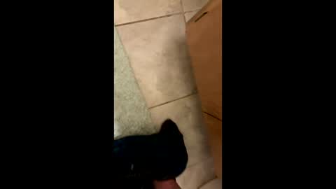 Snapshot of farrishdonovan2 chatting on April 2026 02:40:02 AM farrishdonovan2 online show from April 2026 02:40:02 AM