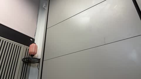 Gattino online show from December 2024 12:06:01 PM