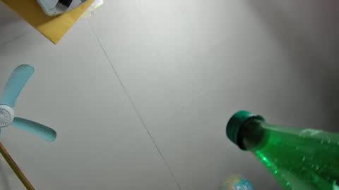 Snapshot of fatfreddythecat chatting on February 2025 12:25:01 AM Fred. online show from February 2025 12:25:01 AM