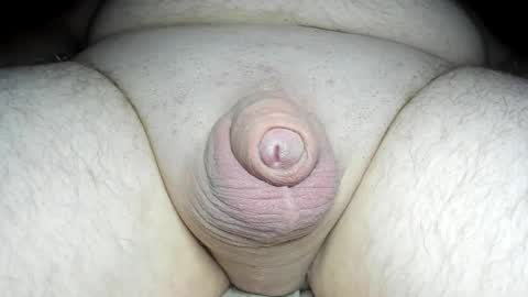 Snapshot of fatmanscock chatting on February 2025 03:01:02 AM Fatmanscock online show from February 2025 03:01:02 AM