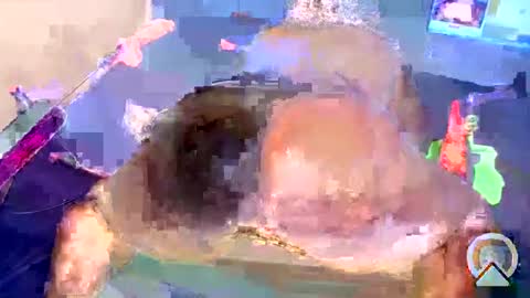 Snapshot of fatpussy348 chatting on January 2025 05:58:02 AM i like my pussy been toture online show from January 2025 05:58:02 AM