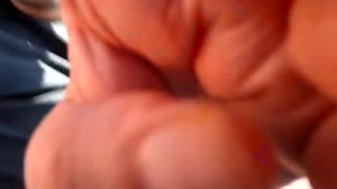 Snapshot of fatso21 chatting on March 2025 12:33:02 PM fatso21 online show from March 2025 12:33:02 PM