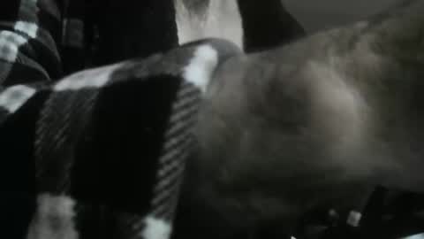 Snapshot of feardubh chatting on October 2025 09:43:01 AM feardubh online show from October 2025 09:43:01 AM