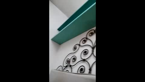 fed884 online show from March 2026 08:13:01 PM