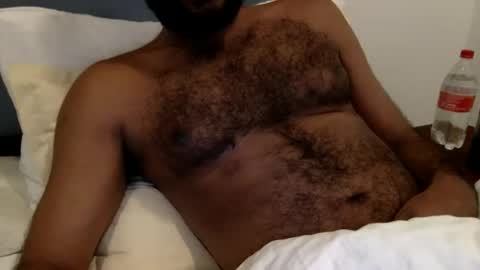 HairyBrownGuy online show from January 2026 06:43:02 PM