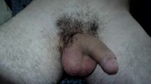 fekadam online show from May 2026 07:38:02 AM