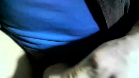 felicaste online show from January 2025 06:04:01 PM