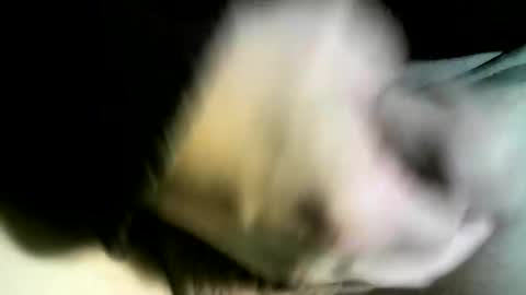 felicaste online show from February 2025 03:01:02 PM