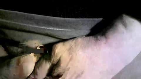 felicaste online show from February 2025 04:20:01 AM