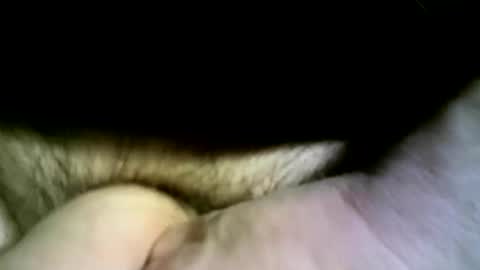 felicaste online show from April 2026 04:34:02 PM