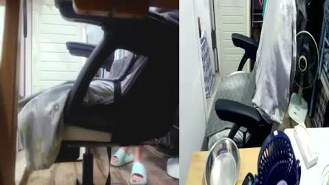 felixlau online show from July 2026 06:21:02 PM