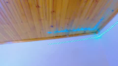 Snapshot of fenixox333 chatting on February 2026 10:59:02 PM stefannia online show from February 2026 10:59:02 PM