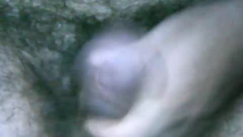 fer_2197 online show from February 2025 01:54:01 PM